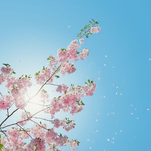 陪读妈妈王梅全篇阅读
